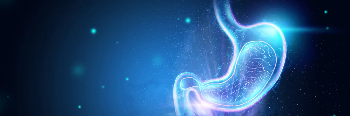 Header_Esophagus_to_Small_Intestine