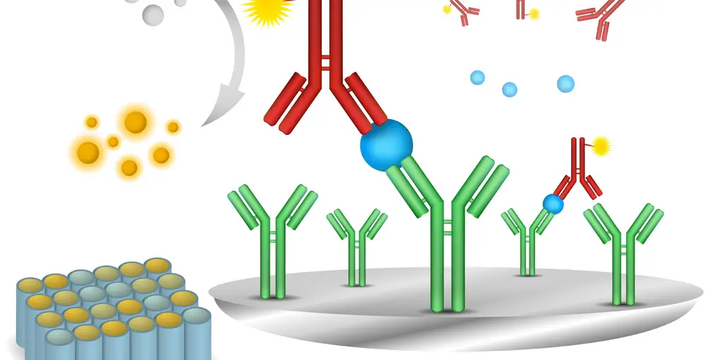 vector-elisa-immuno-assay.jpg