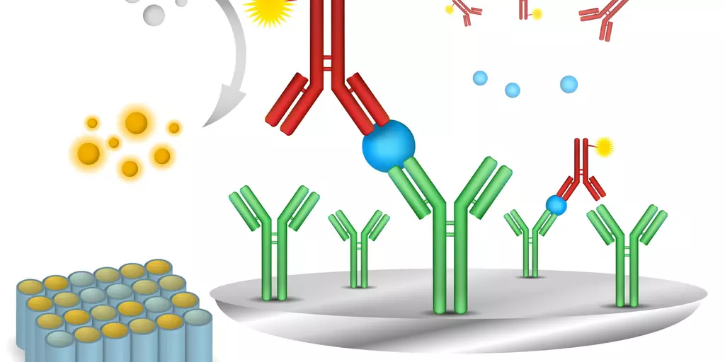 vector-elisa-immuno-assay.jpg