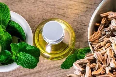 Mentha piperita y Carum carvi