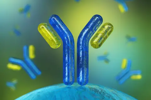 anticuerpos_inmunoglobulinas_proteína-en-forma-de-Y
