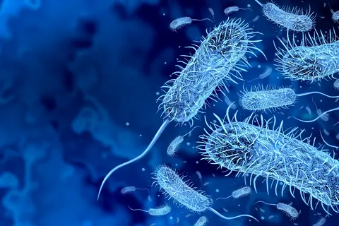 diarrea_bacteriana