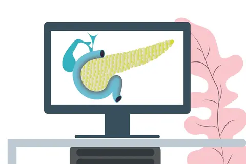 pancreas_01.jpg