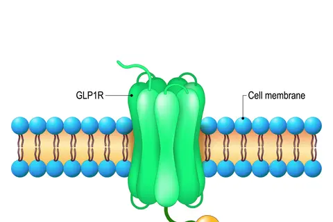 receptor_de_peptido