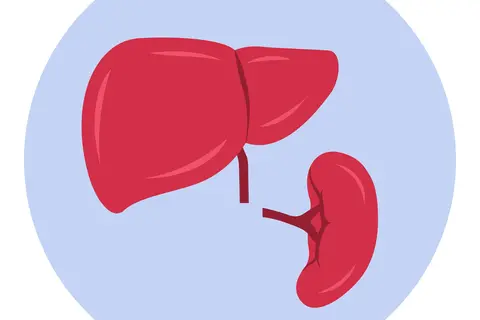 ilustracion_hiperico_y_bazo