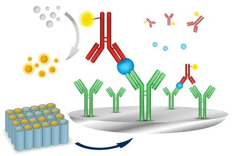 vector-elisa-immuno-assay.jpg