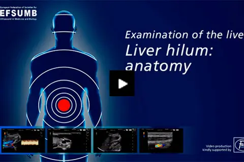 video_Examination of the liver - Liver hilum: anatomy