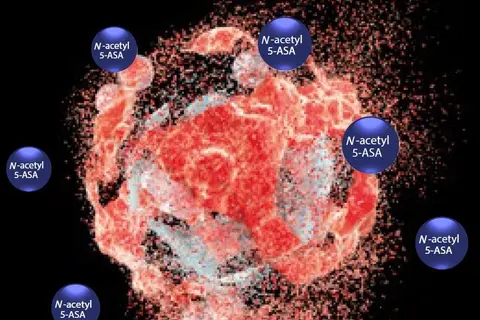 n-acetyl_5-asa