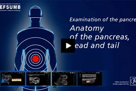 examination_of_the_pancreas