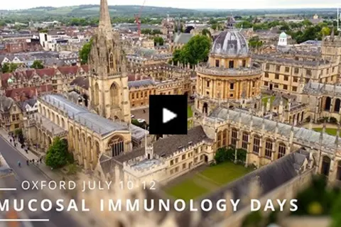 s241_oxford_aftermovie_580x325p