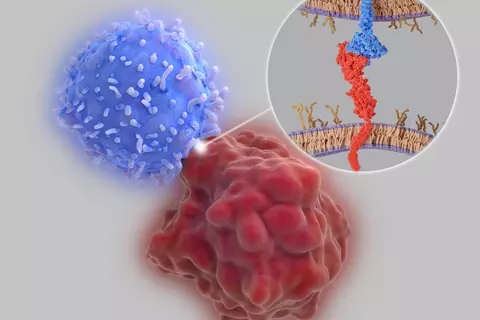 dMMR_tumors
