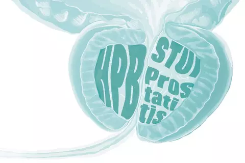 prostata-prosgutt