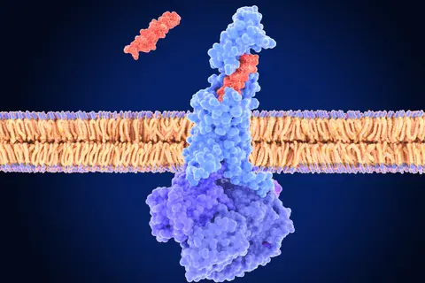 tirzepatide_body_weight_reduction