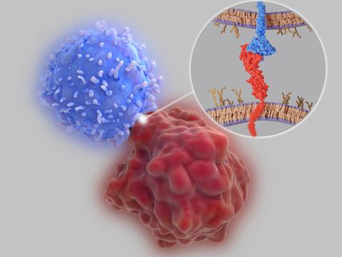 dMMR_tumors