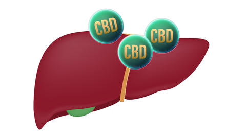 higado_cbd