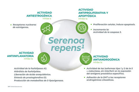 img-prosgutt-serenoa