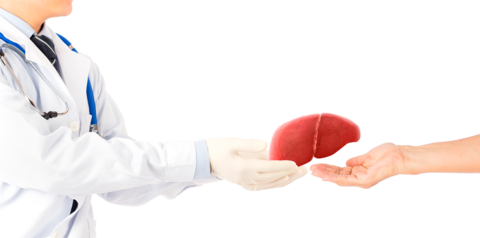 Liver_transplantation