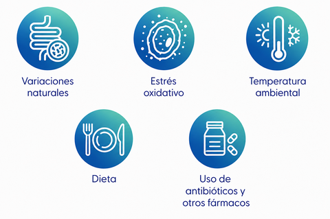 posibles_causas_disbiosis