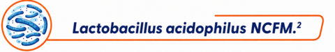 lactobacillus_NCFM