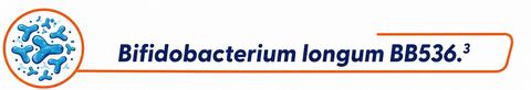 bifidobacterium_BB536