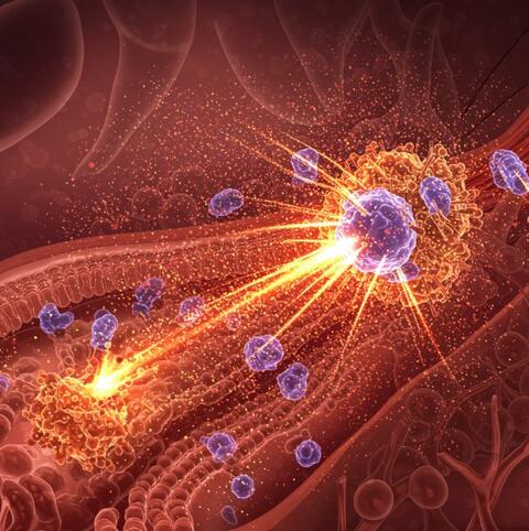 cytokine-storm_immune_system