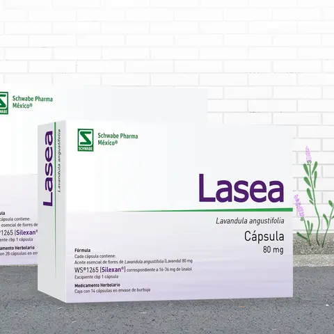 img-presentaciones-lasea
