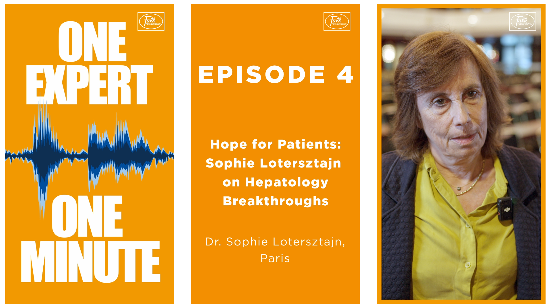 OneExpert_OneMinute_Episode4_Lotersztajn