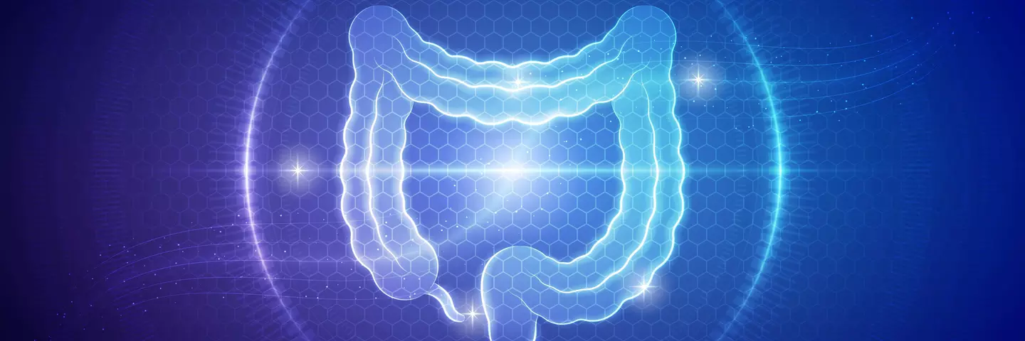 Holograma_Sistema_Gastrointestinal