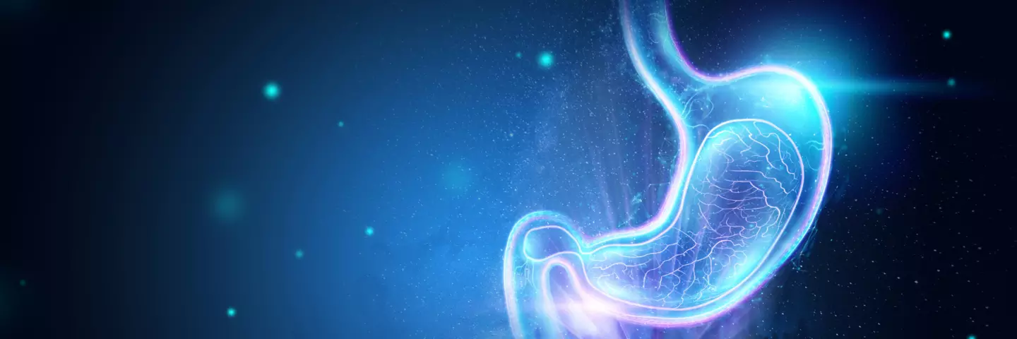 Header_Esophagus_to_Small_Intestine