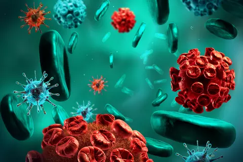 virus_1