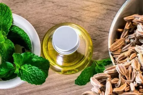 Mentha piperita y Carum carvi