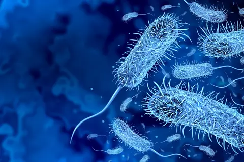 diarrea_bacteriana