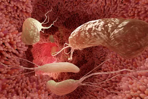 superficie_de_microvilli_del_sistema_digestivo