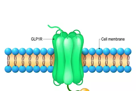 receptor_de_peptido