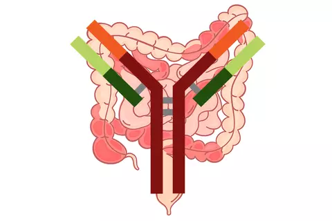 ilustracion_anticuerpo_monoclonal