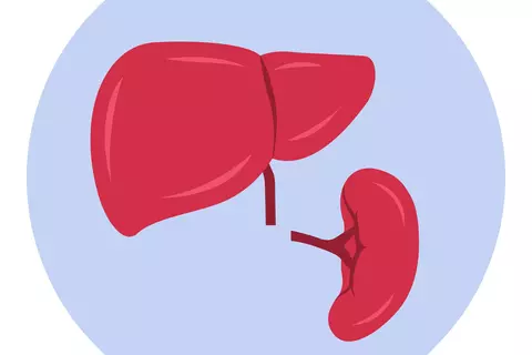 ilustracion_hiperico_y_bazo