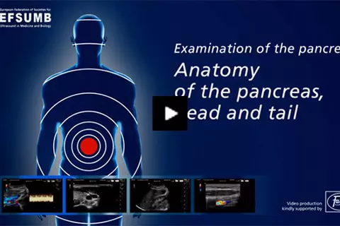 examination_of_the_pancreas