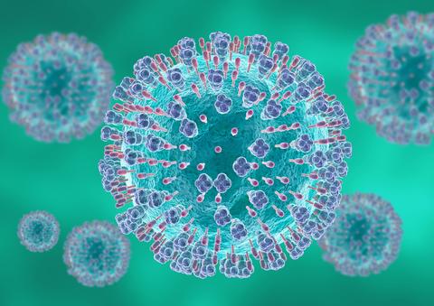 Virus_sincitial_respiratorio_microscópico
