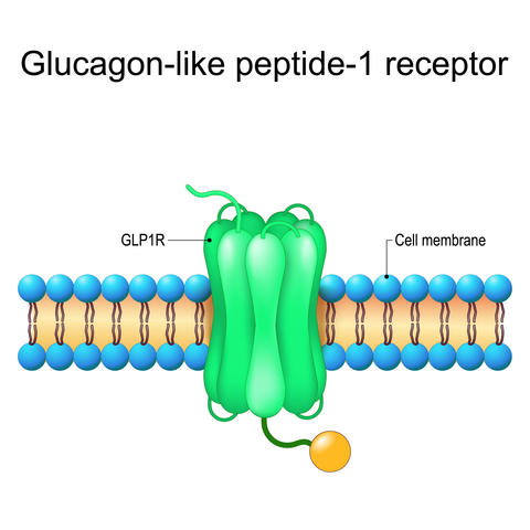 receptor_de_peptido
