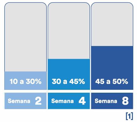 graficassalofalk_articulos-03