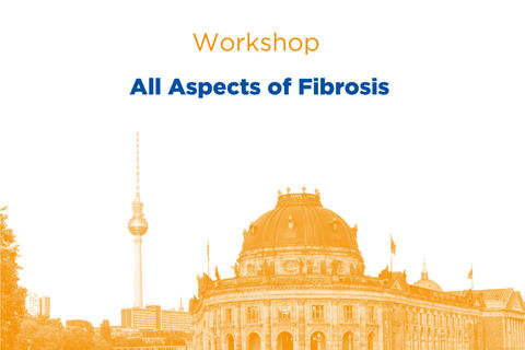 imgs-falknaranja_allaspectsfibrosis