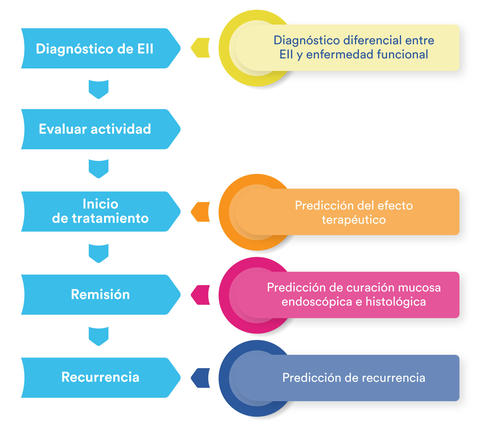 imgssalofalk_art_graficaflechas