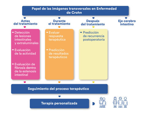 estudios_de_imagen_transversal_en_la_eii