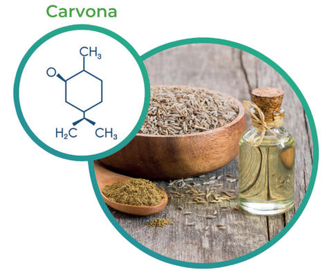 carvona
