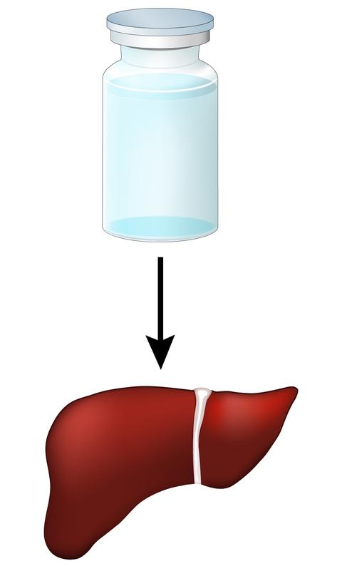 semaglutide-peptide-hormone