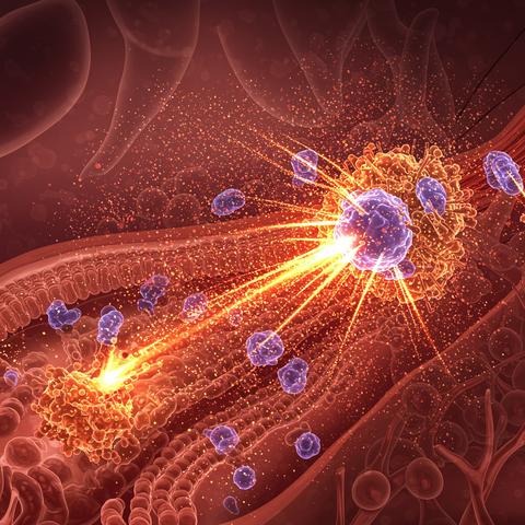 cytokine-storm_immune_system