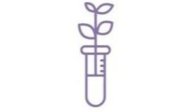 ícono_fitomedicamentos