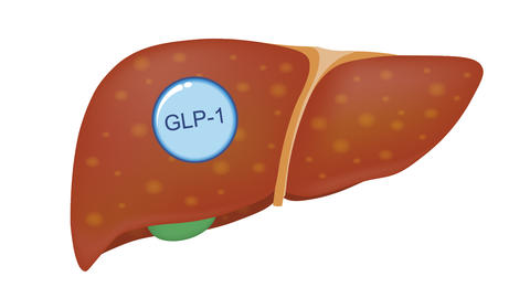 higado_glp