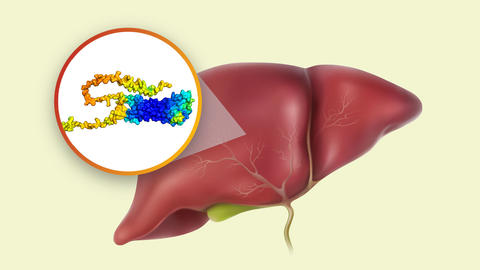 03_novel-therapeutic-approach-in-primary