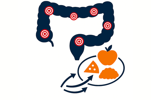 fasting-mimicking_diet_crohns_disease